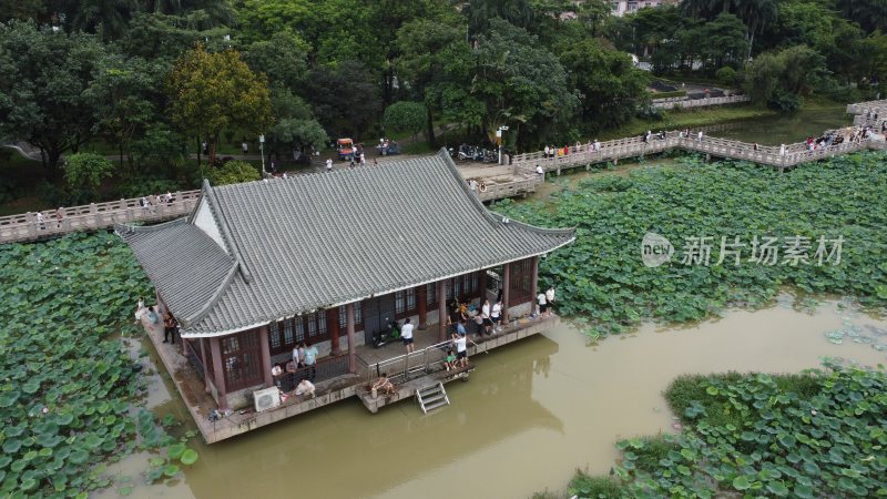 广东东莞：游客前来莲湖观赏荷花