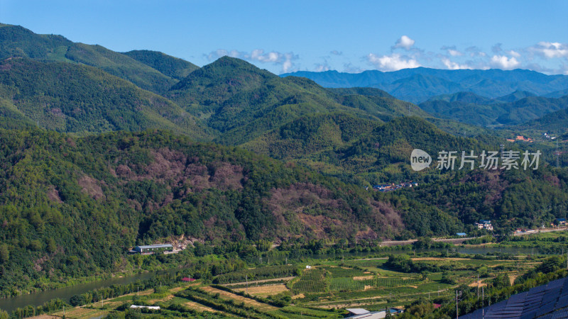 航拍福建南平武夷山森林