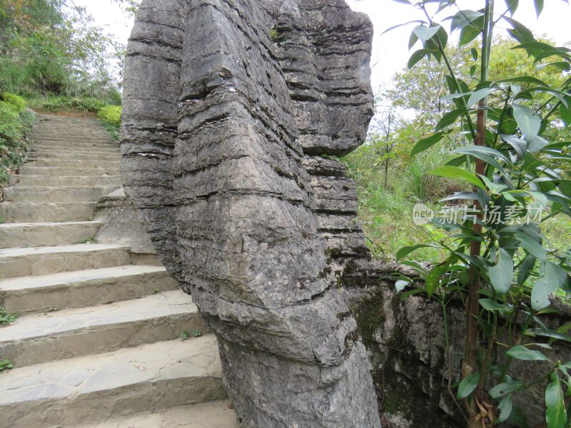 湖北恩施梭布垭石林旅游风光