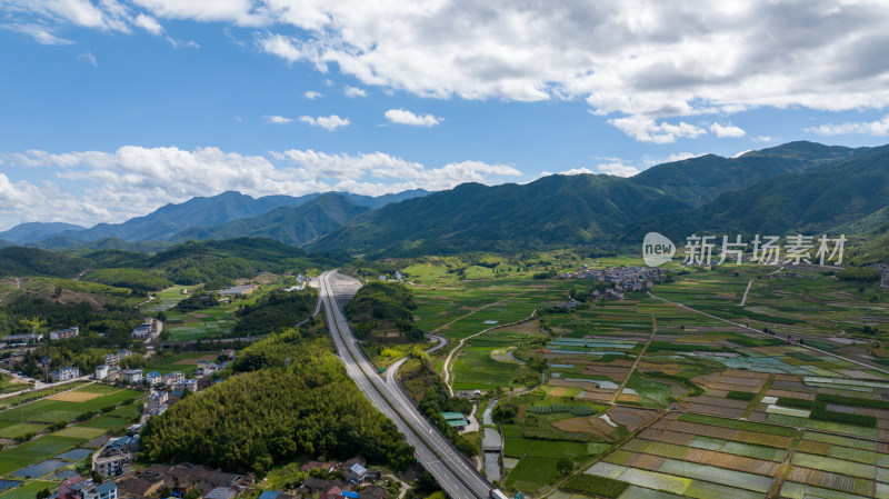 航拍乡村绿色稻田 乡村振兴