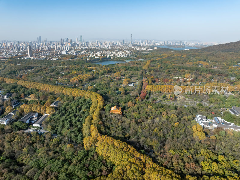 江苏南京灵山风景区前湖秋天秋色航拍