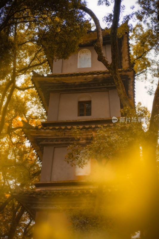 秋季的宁波阿育王寺