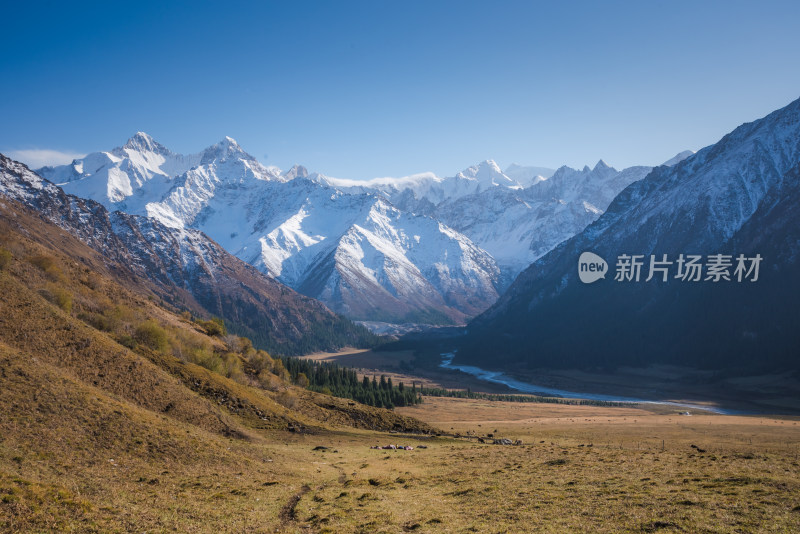 新疆夏塔雪山草原山水自然风景