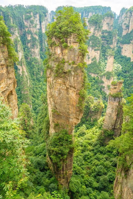 中国湖南张家界的壮丽山脉景观