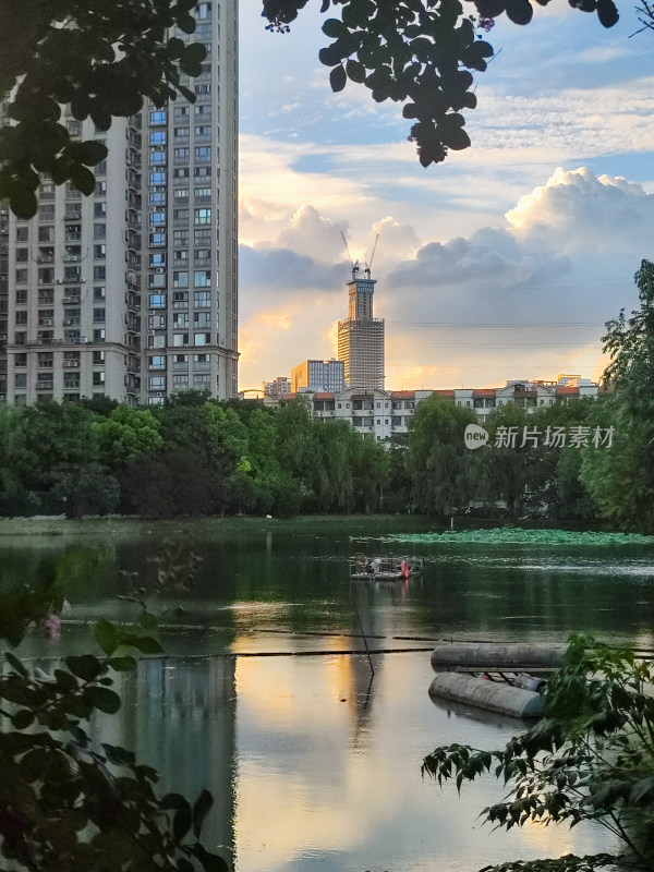 城市公园中宁静湖面与林立高楼相映成趣