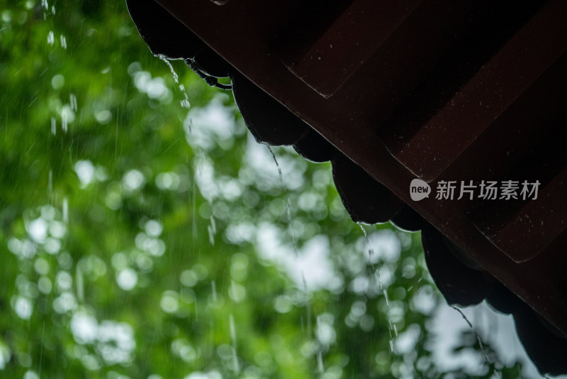 春雨下的古建筑