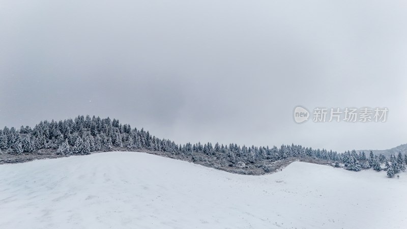 重庆酉阳：大雪纷飞赏雪忙