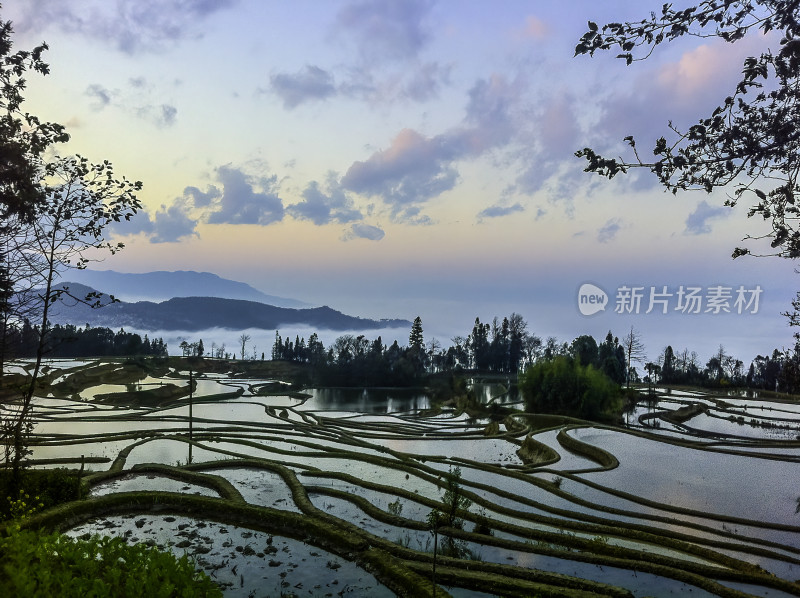 云南元阳梯田风光