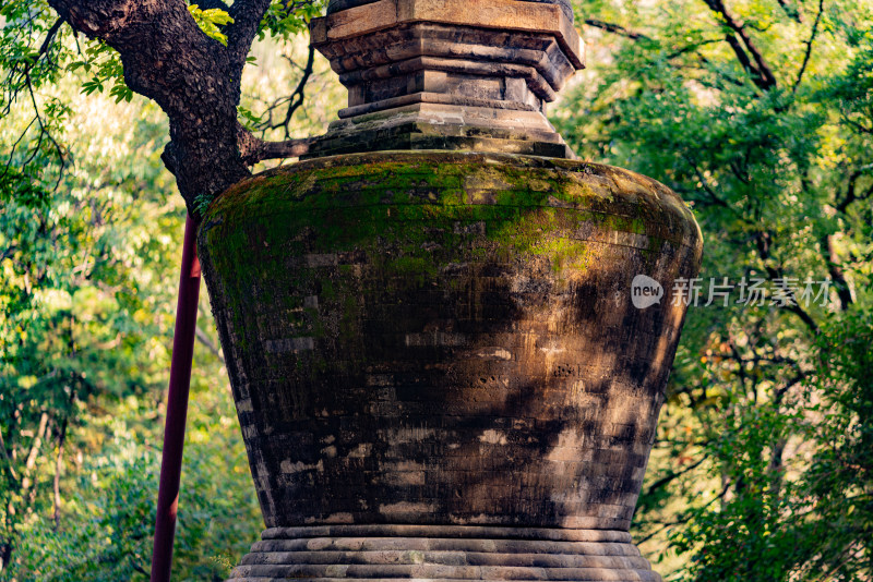 潭柘寺塔林