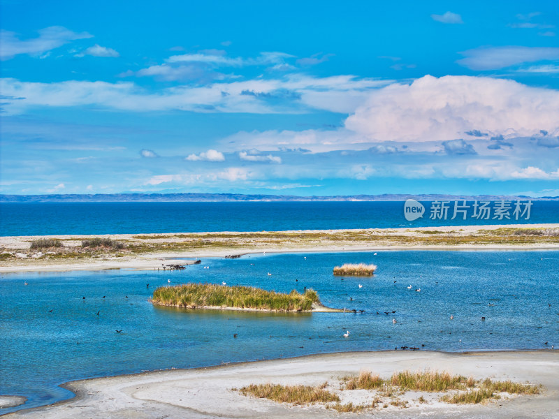 新疆乌伦古湖候鸟湿地保护区