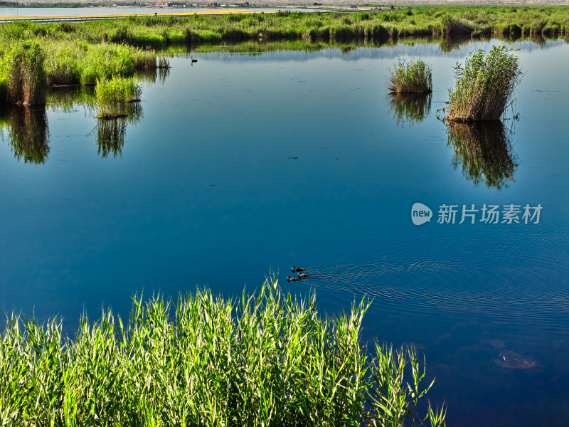 新疆巴州莲海世界