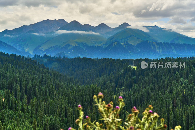 库尔德宁风光美景