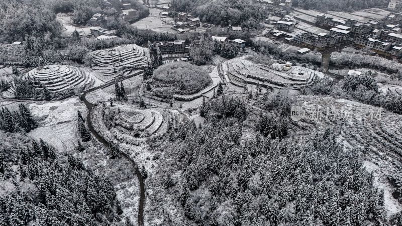 重庆酉阳：大雪纷飞赏雪忙