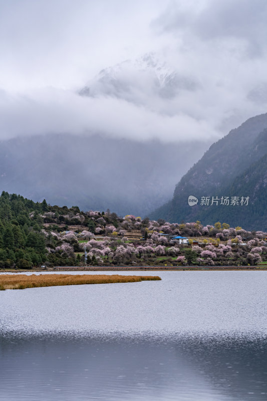 西藏林芝地区藏王故里桃花沟云雾高原村庄