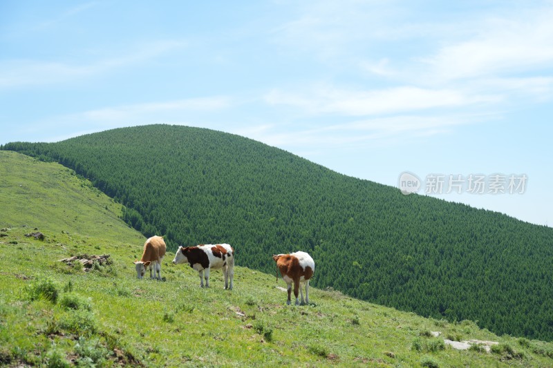 五台山南台风光