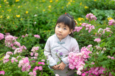 花丛里的漂亮小女孩 赏花看海闻花