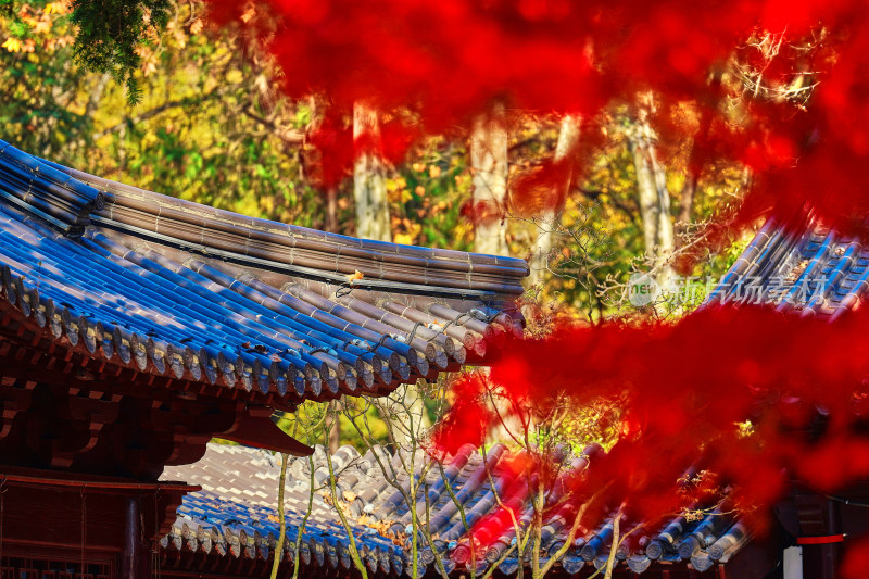 南京栖霞山栖霞寺