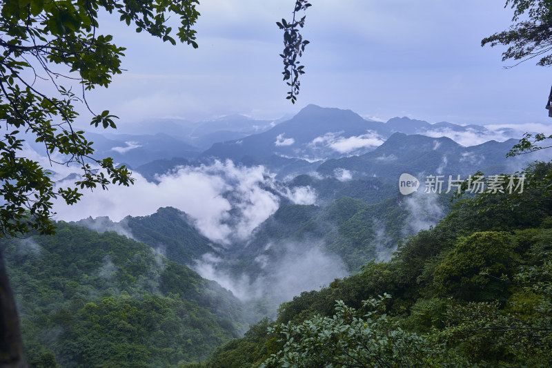 云雾缭绕的金佛山