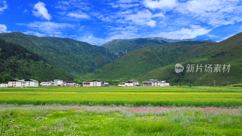 香格里拉纳帕海景区