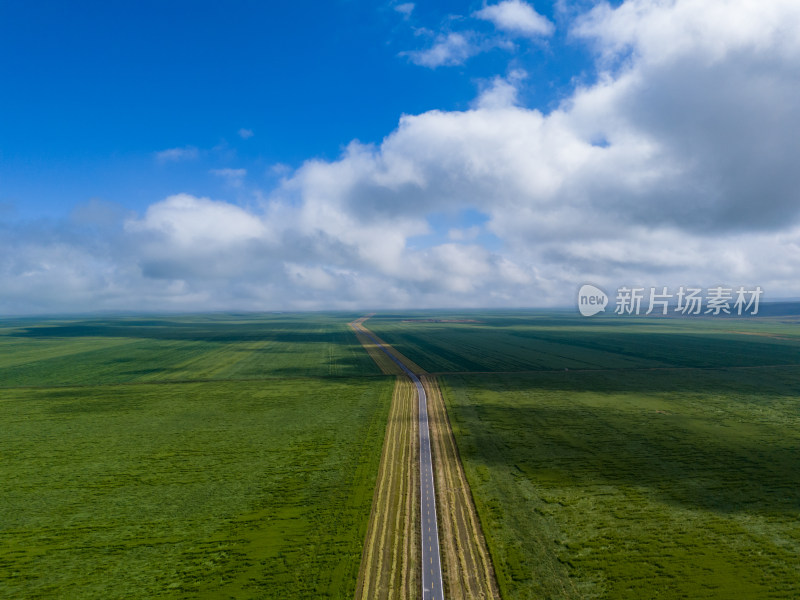 草原上的公路