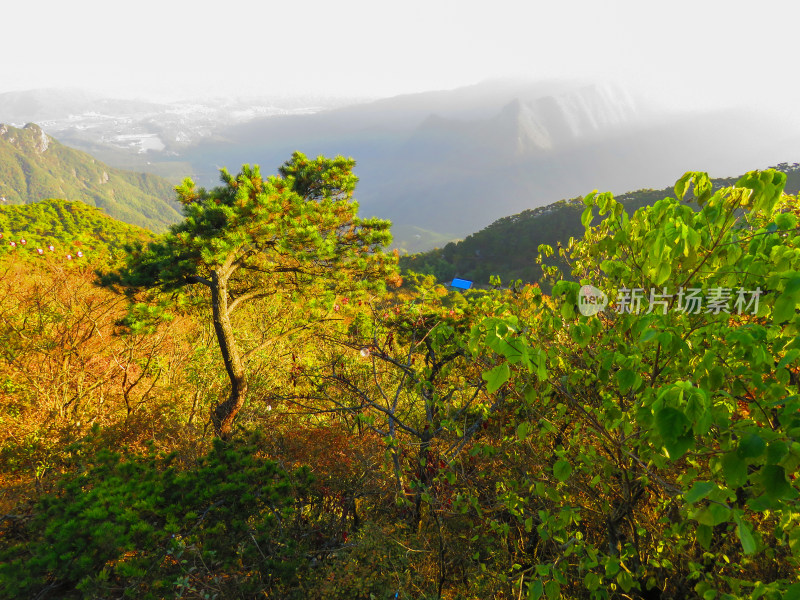 中国江西九江庐山旅游风光