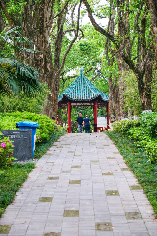 武汉东湖听涛风景区