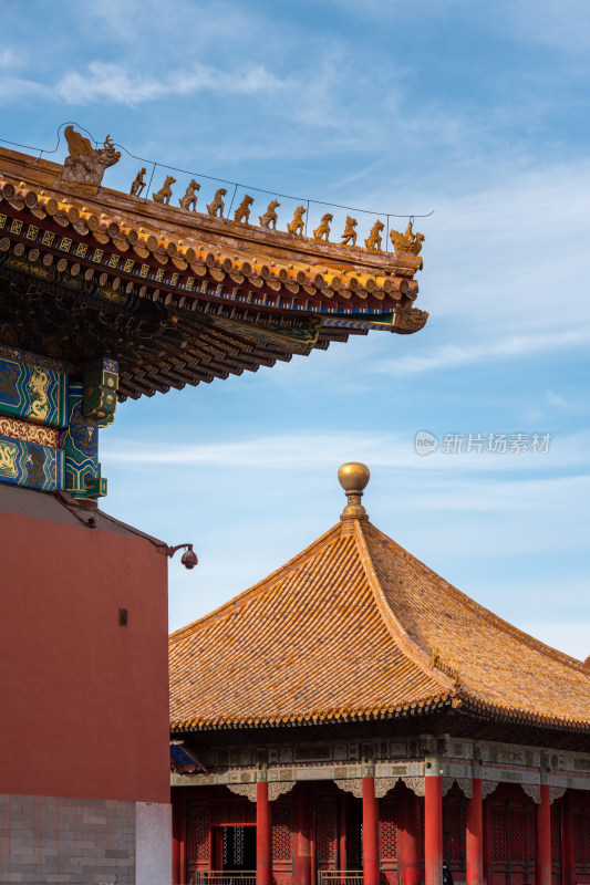 北京故宫大景 故宫 宫殿