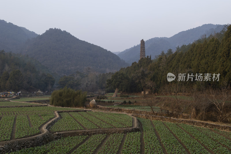 浙江台州国清寺隋塔天台山宝塔古塔田园风光