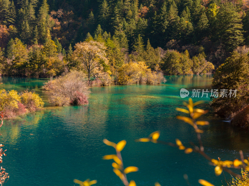 九寨沟秋景