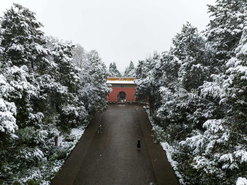 南京明孝陵雪景