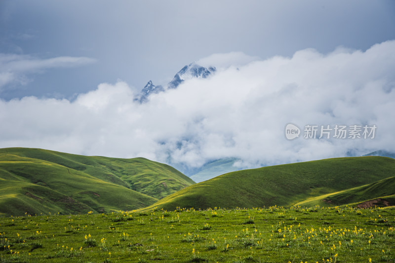 云雾缭绕下的绿色山谷高山草甸与云海