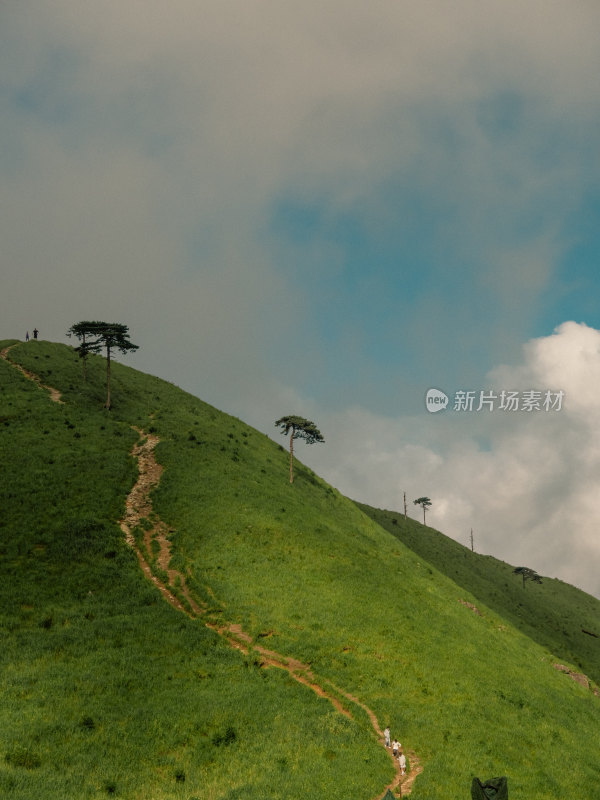 绿色山坡徒步小径风景