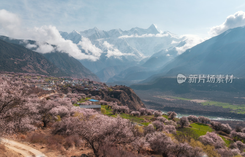 春天桃花盛开的雅鲁藏布大峡谷和南迦巴瓦峰