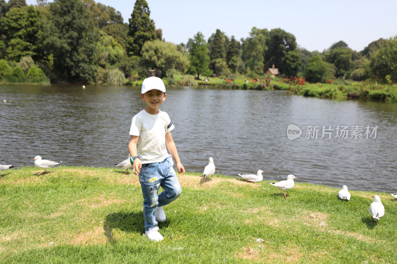 可爱的男孩在湖边的草地上与水鸟玩耍