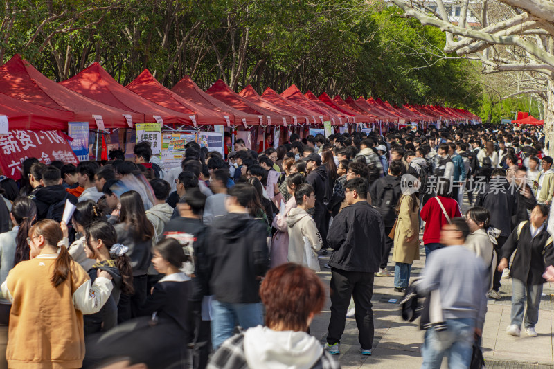 校园招聘会现场人群景象