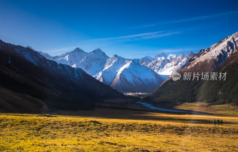 新疆夏塔草原阳光自然风景