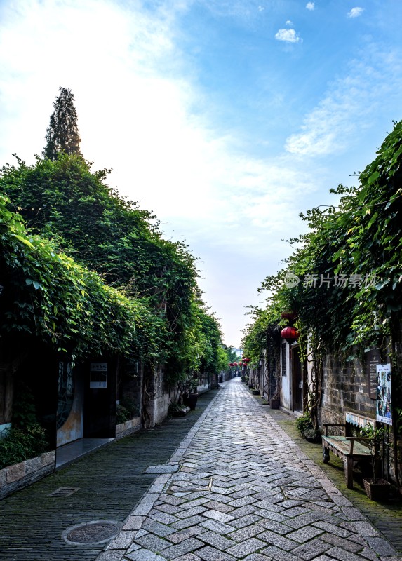 覆满绿植的古朴小巷风景