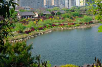 春天的渭南南湖公园湖上风景