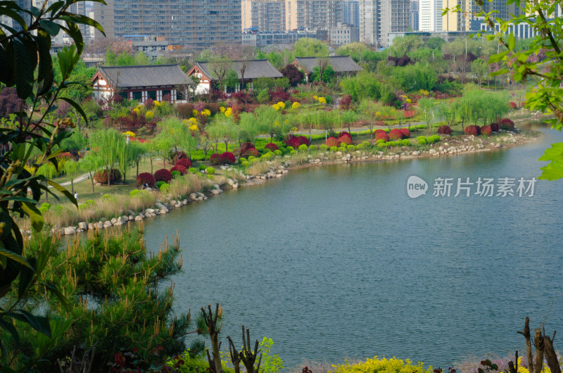 春天的渭南南湖公园湖上风景