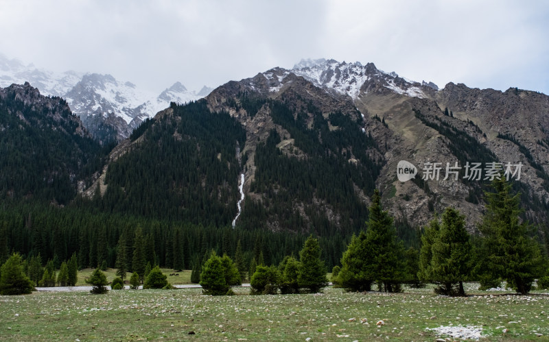 新疆伊犁夏塔雪山森林草原绝美风光