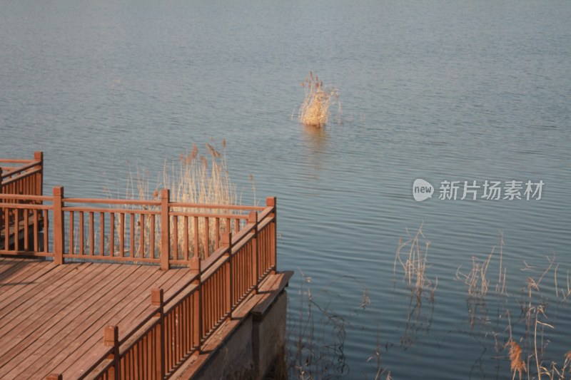 湖边木质栈道与平静湖水
