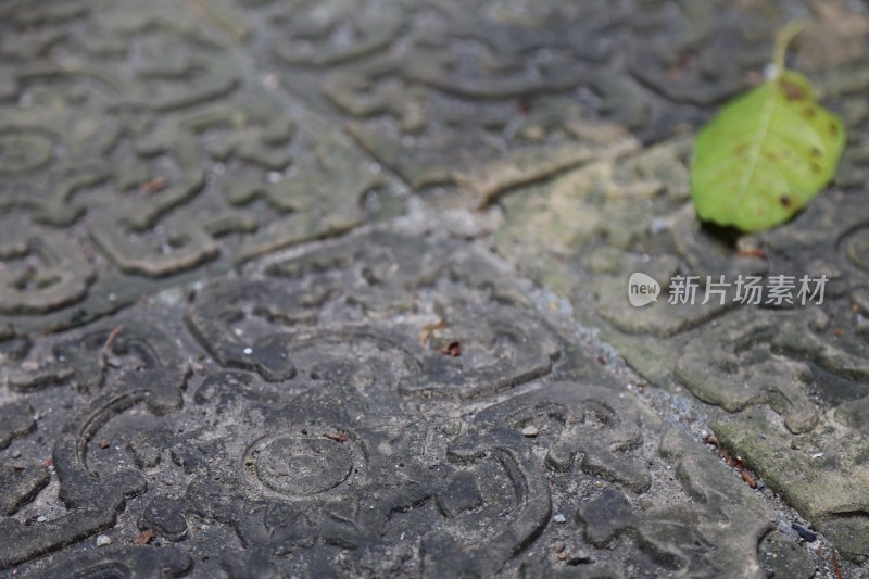 带有花纹的地面及落叶