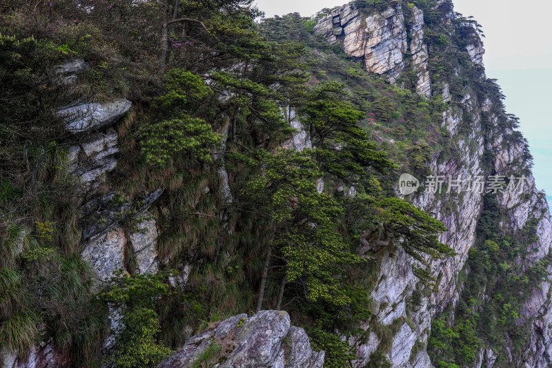 春季庐山自然风光