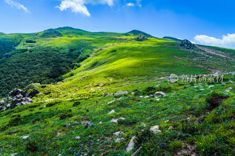 夏季蓝天白云绿色高山草甸群山大气风光