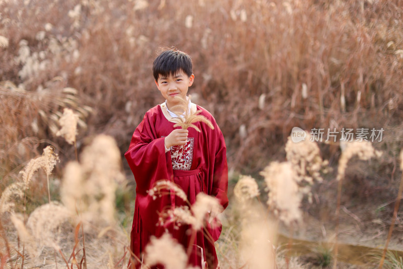 可爱的男孩站在草地上拿着芦苇