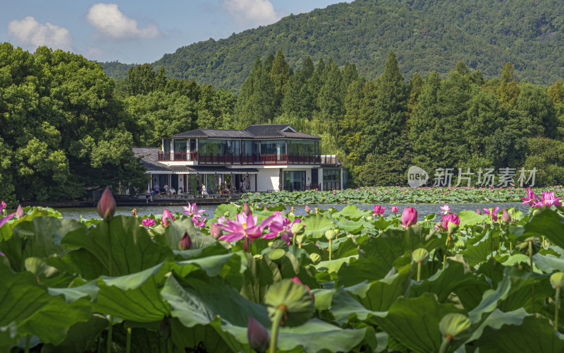 浙江省杭州市西湖景区