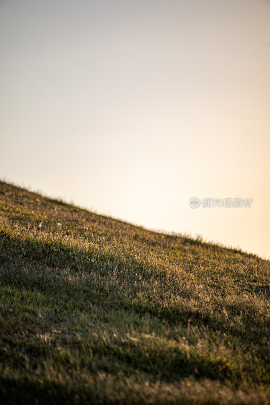 黄昏落日时青岛小麦岛公园自然风景城市景观