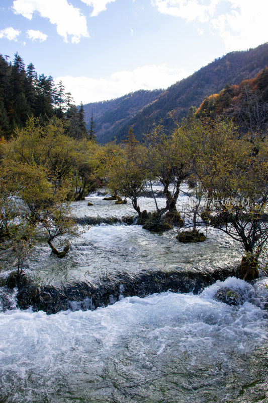 九寨沟秋色，树正瀑布山林溪流