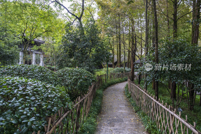 杭州三台山浙商总会风景