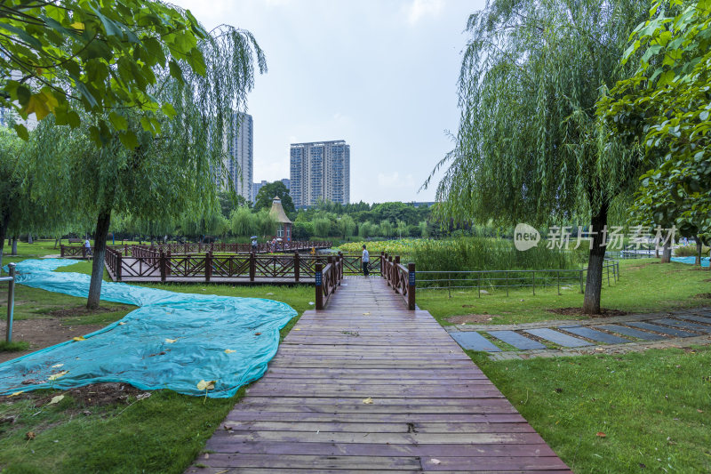 武汉关山荷兰风情园风景